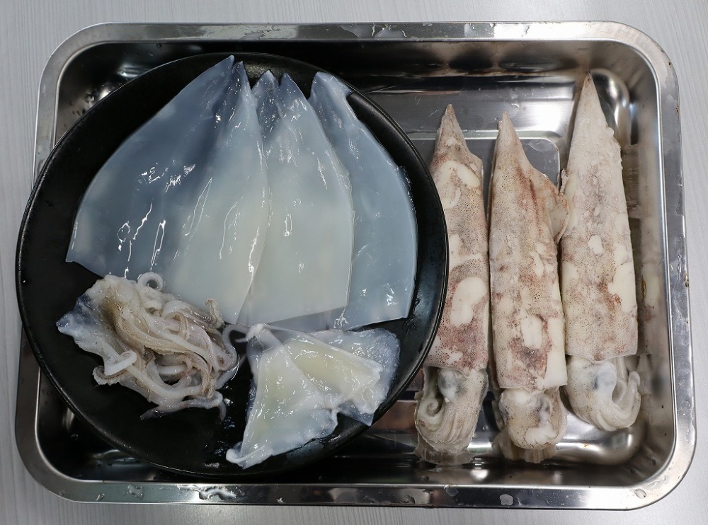 【宮城県石巻産】　冷凍ヤリイカ　ラウンド　8kg