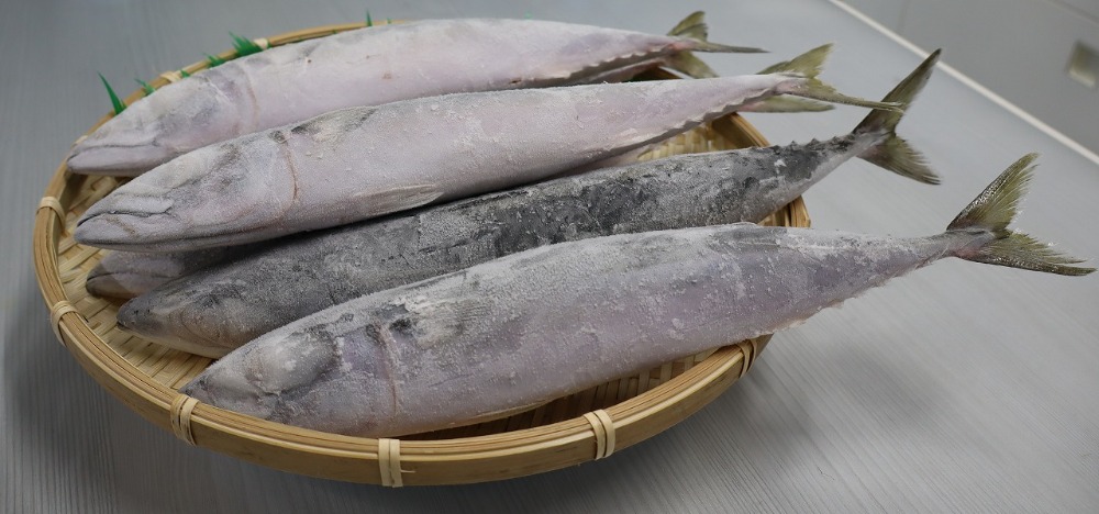 【宮城県産】冷凍サバ　（200〜300ｇ/一尾）　4kg
