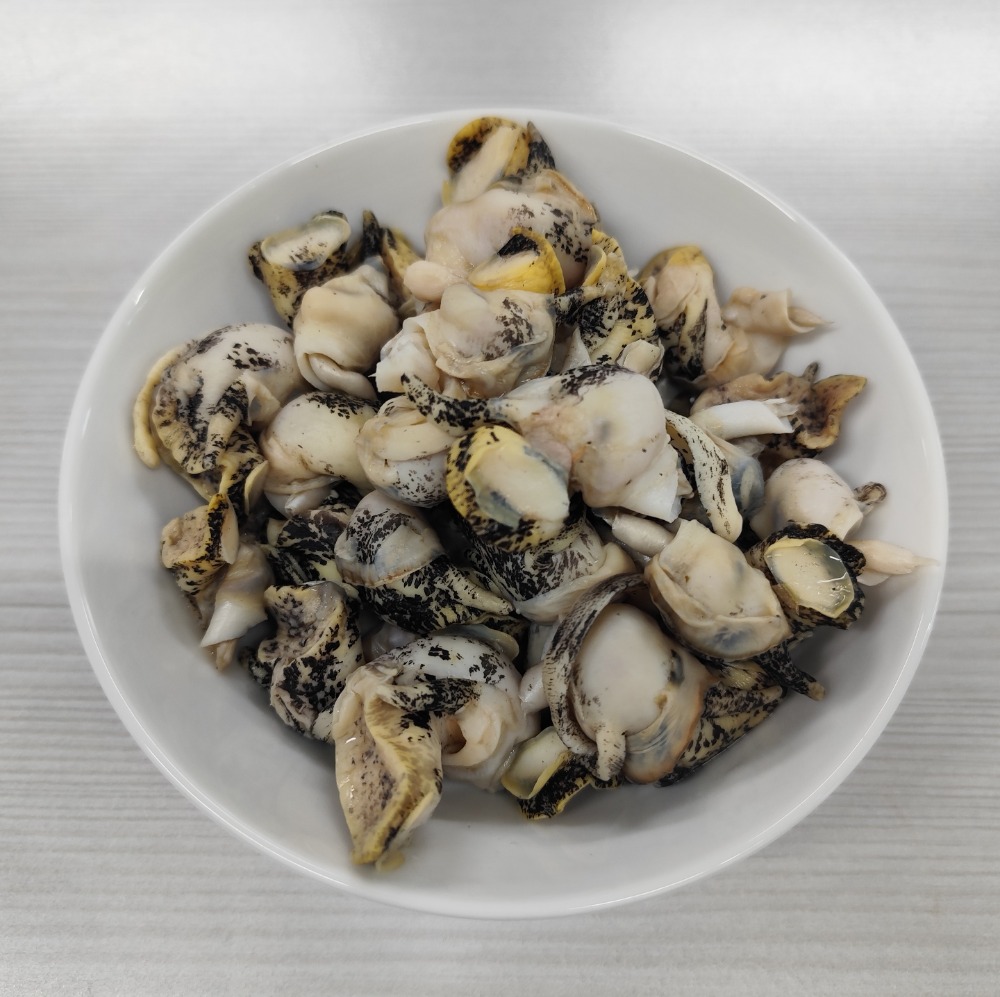 【宮城県産】冷凍灯台つぶ貝　むき身　　約8kg