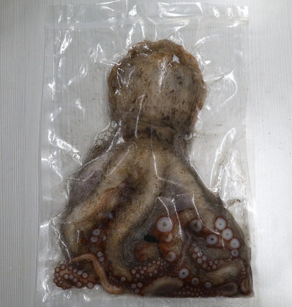 【宮城県産】冷凍真蛸まだこマダコ4kg（約400ｇ〜1000ｇ/一杯）