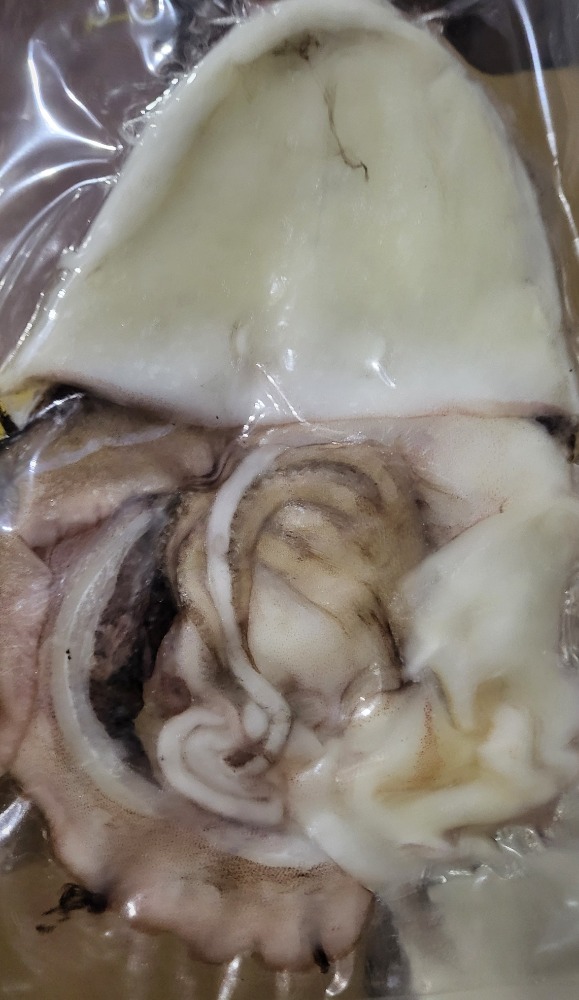 甲いかむき身１匹真空上身2.6ｋ分