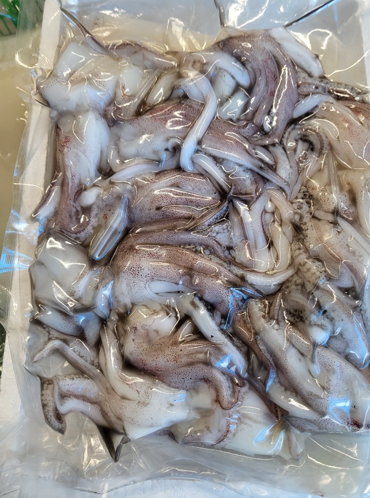 山陰産白いか刺身用むき身５ｋ原体