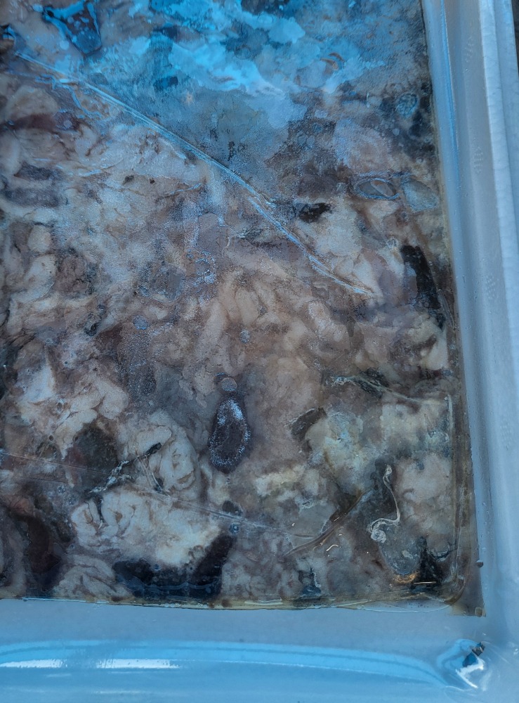 養殖鮎　頭　骨　はらわたセット５セット