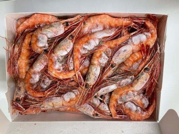冷凍甘えび(冷アマエビ) 1kg 2Lサイズ