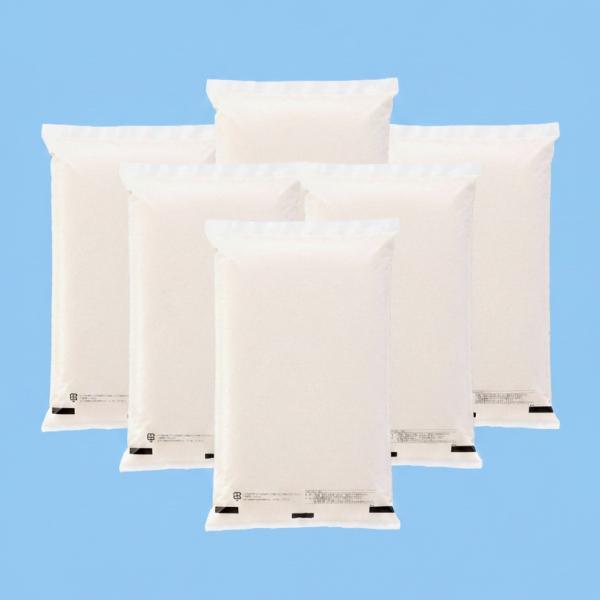 【令和７年産】国内産　業務用　ヒメノモチ(もち米)　4kgx6p