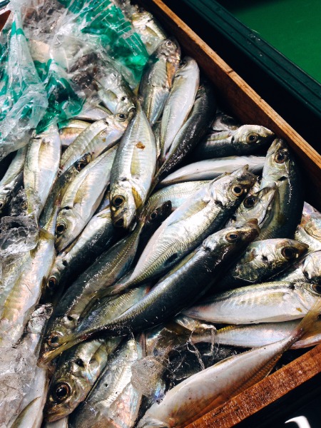 五島列島　ちぎり揚げ野菜　あじと野菜のちぎり天　揚げ天ぷら