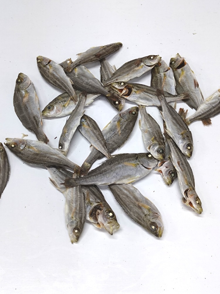 イサキ煮干し1kg袋入り