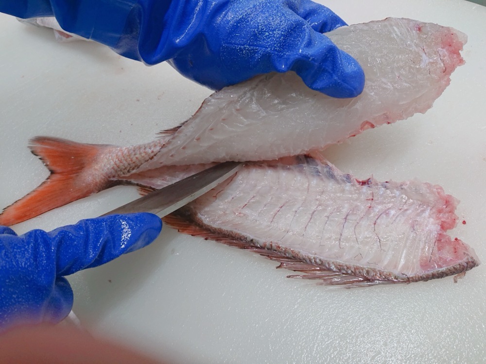 【朝活〆・生食用】養殖真鯛スキンレスロイン（皮無し）1kg刺身