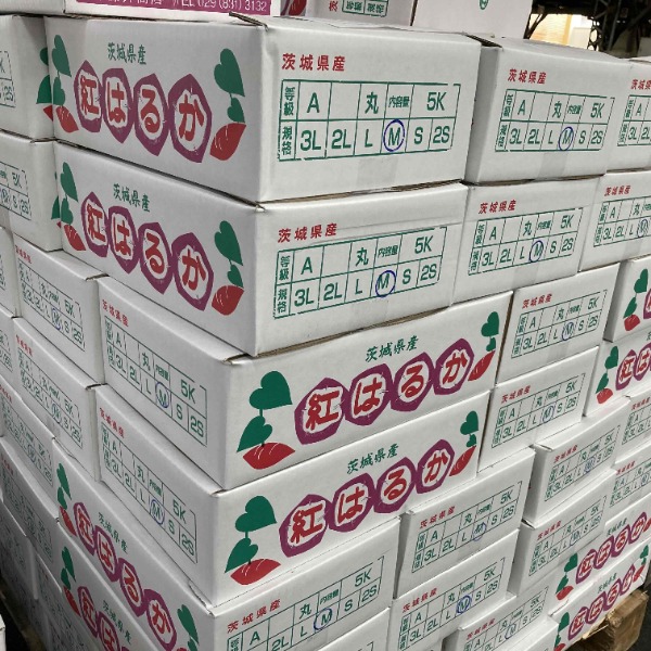 茨城産 紅はるか 2L 5kg