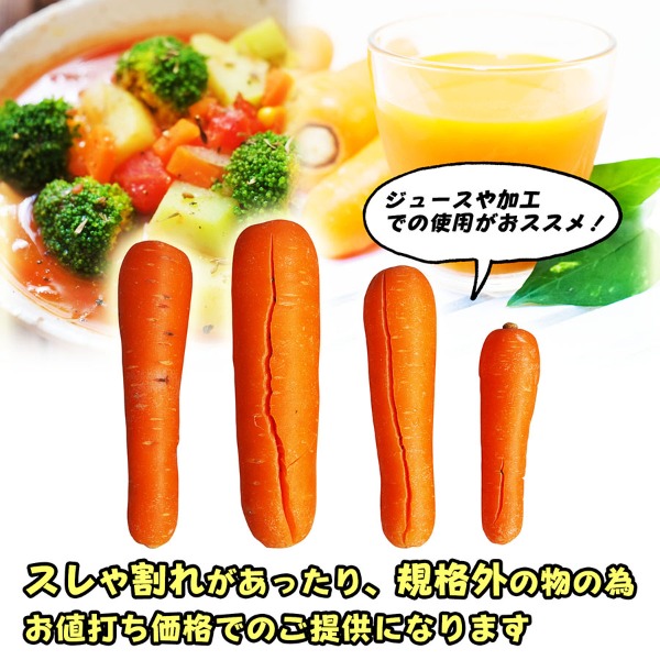 国産　加工用　人参　　約10kg.