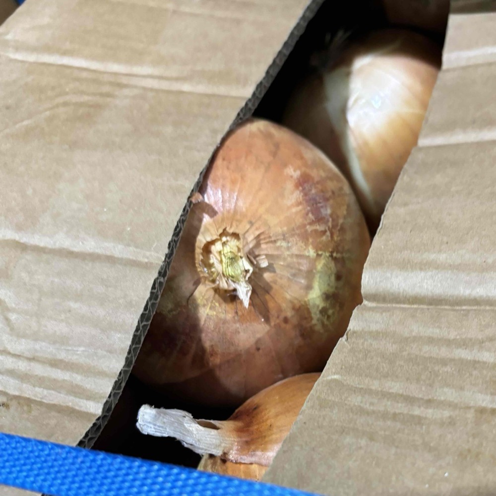 中国産　玉ねぎ　約10ｋｇ