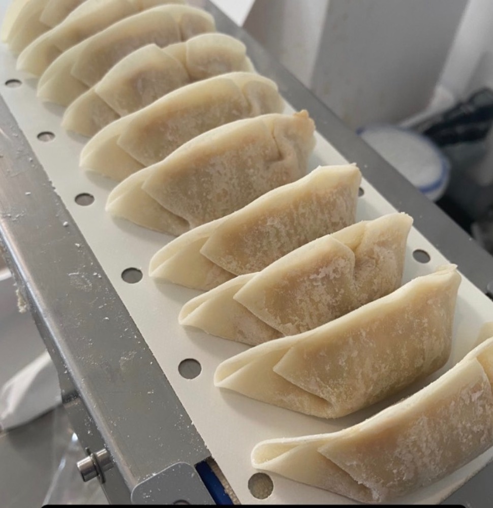 国産　冷凍　生餃子　【美濃ヘルシーポーク使用】　【A】