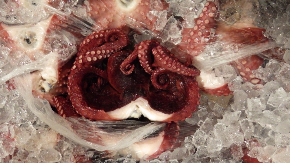 愛媛県産　地だこ　ボイル