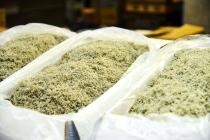 �X�܎ʐ^�E���S