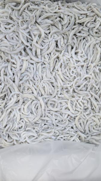 ゲリラ販売！釜揚げしらす　和歌山産　中大筋　1kgより販売