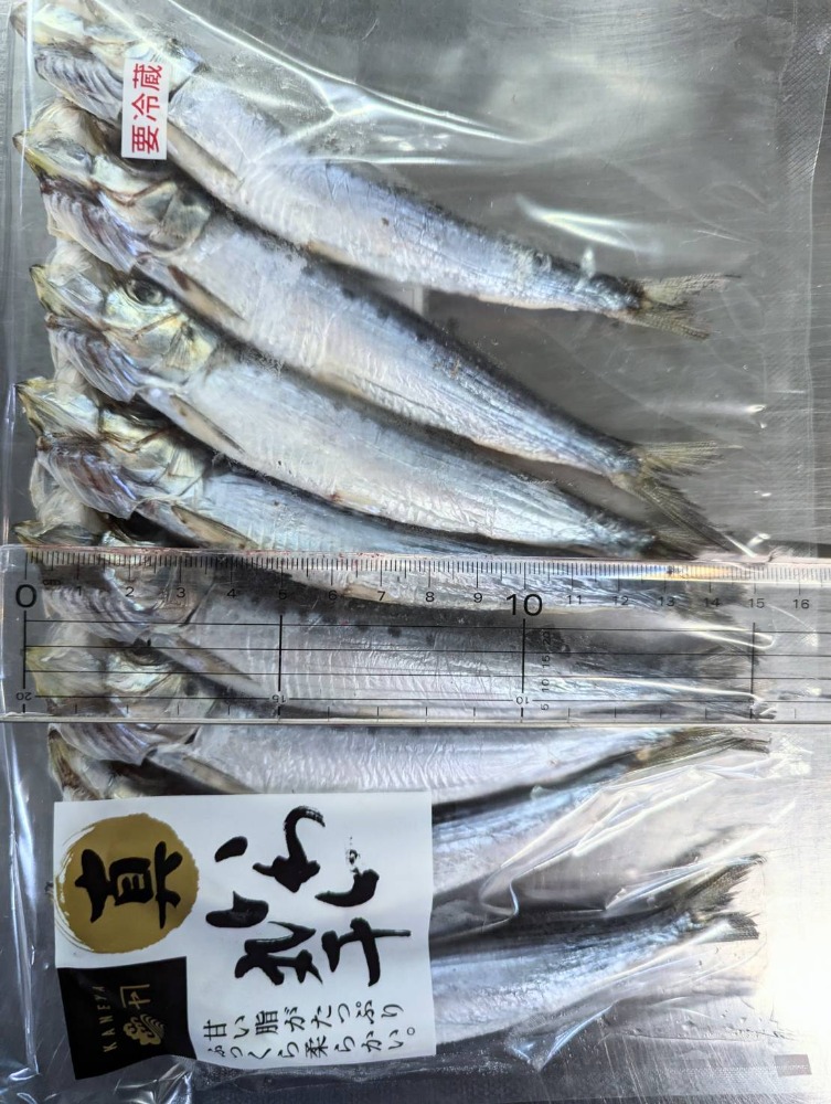 脂乗り最高！国産いわし丸干し　1パック8尾入り（約15cm）