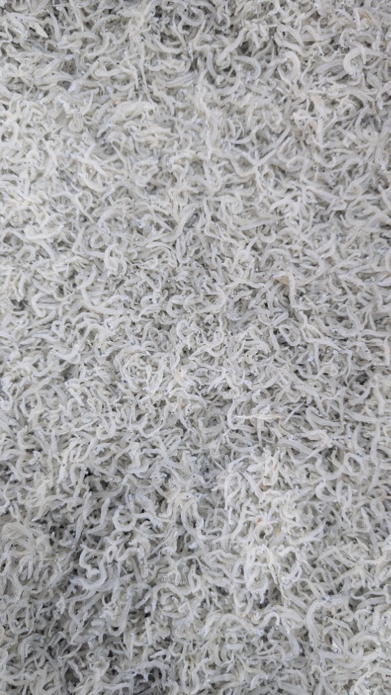 極上品！ちりめんじゃこ　愛知県産　小中筋　5kg　幸341