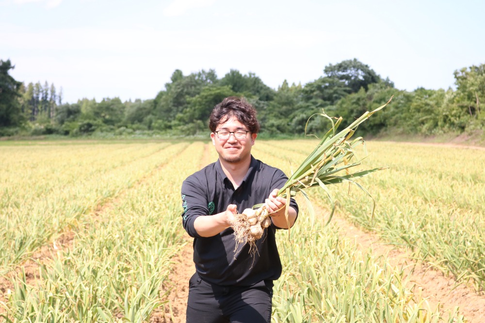 【ラーメン店御用達】国産むきにんにく(大蒜)10kg冷凍サイズ混合