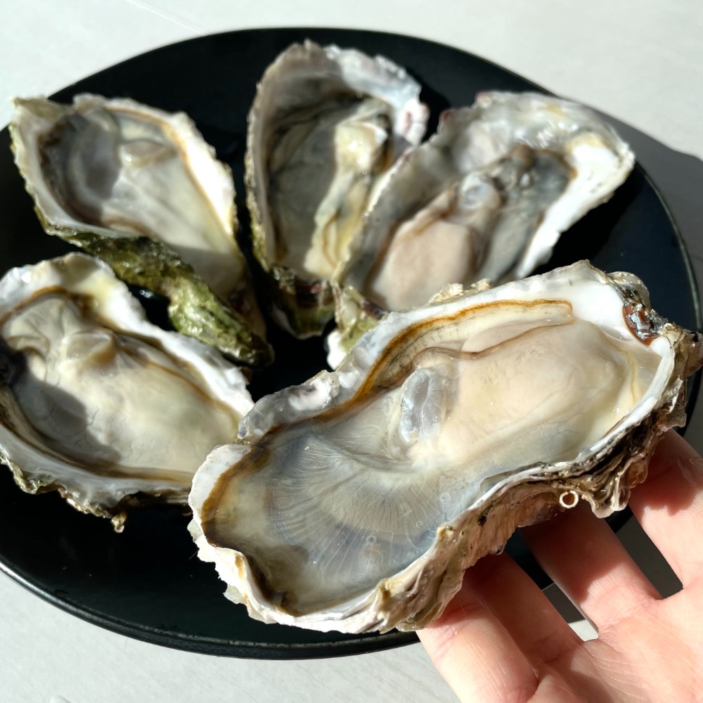 三陸産冷凍殻付き牡蠣　生食可能　約150/200g　70個入