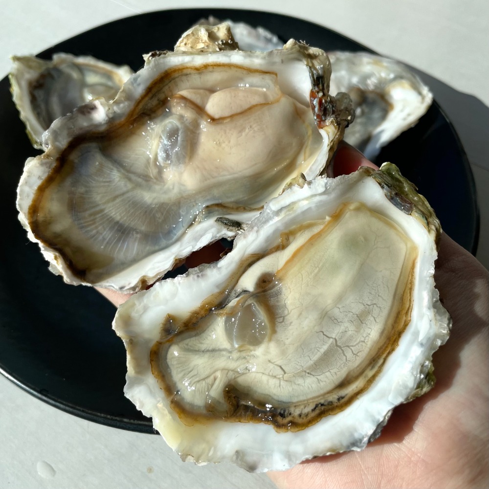 三陸産冷凍殻付き牡蠣　生食可能　約150/200g　10kg