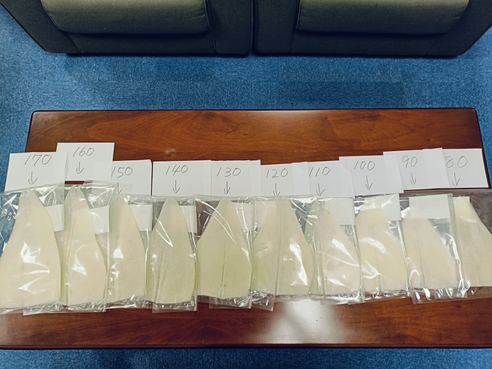 【特大】岩手県産ヤリイカカベタ（生食用）80-120g　1kg