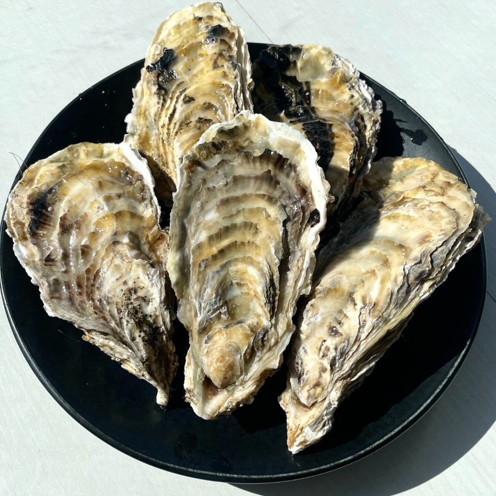 三陸産殻付き牡蠣１０ｋｇ　中サイズ