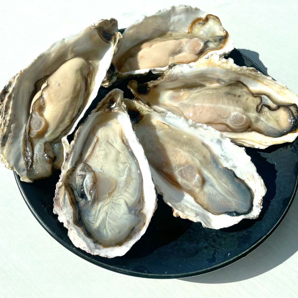 三陸産殻付き牡蠣10ｋｇ　60/80g