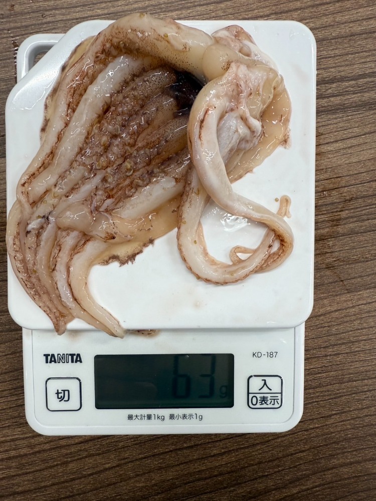 【船凍原料使用】ロシア産ドスイカゲソ　１ｋｇ