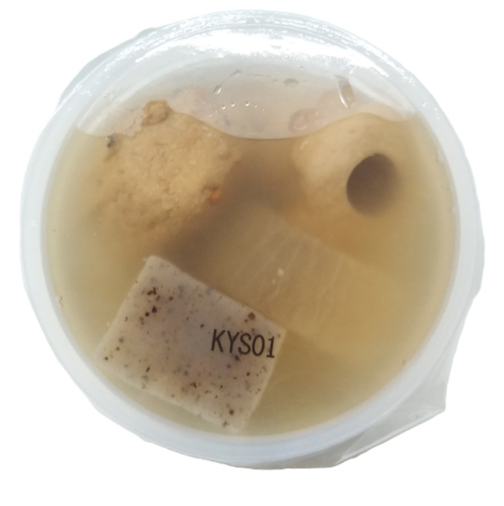 【変わり種おでん1人前】木頭ゆず塩おでん