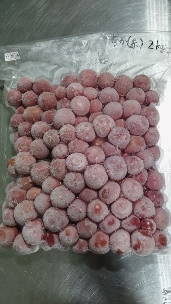 鳥取県産　ミニトマト　バラ冷凍　千果
