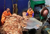 �X�܎ʐ^�E���S