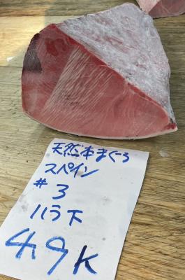【新商品】【新商品】3天然本マグロ（スペイン産）腹下4.9kg