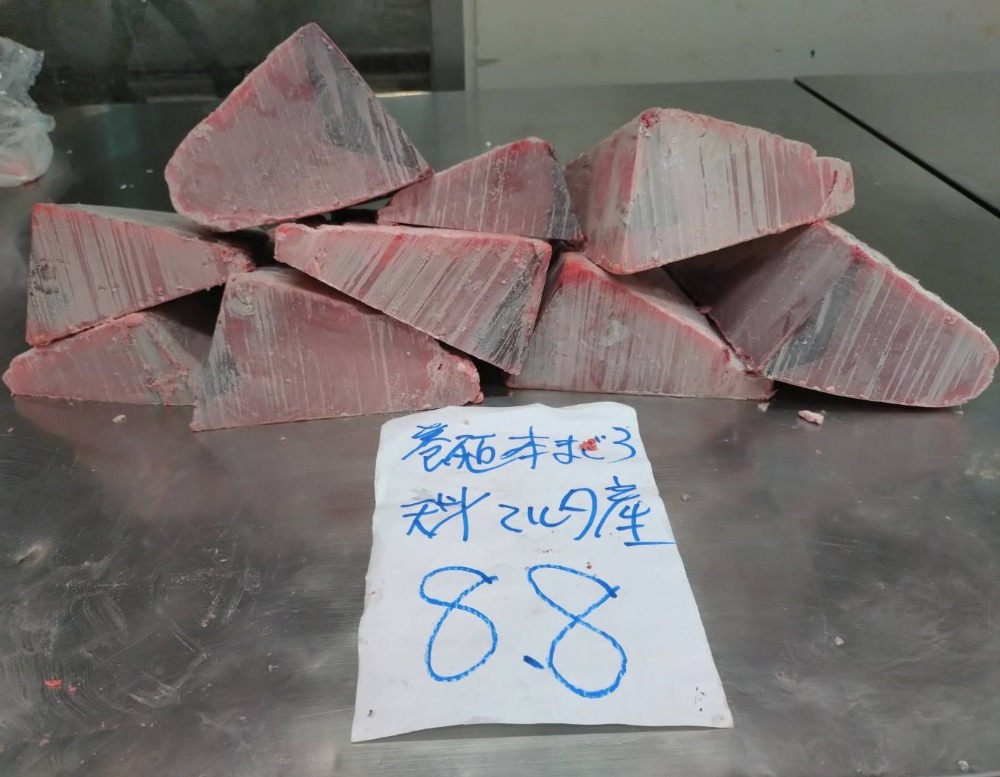 【新商品】【新商品】0322養殖本鮪天身8.8kg