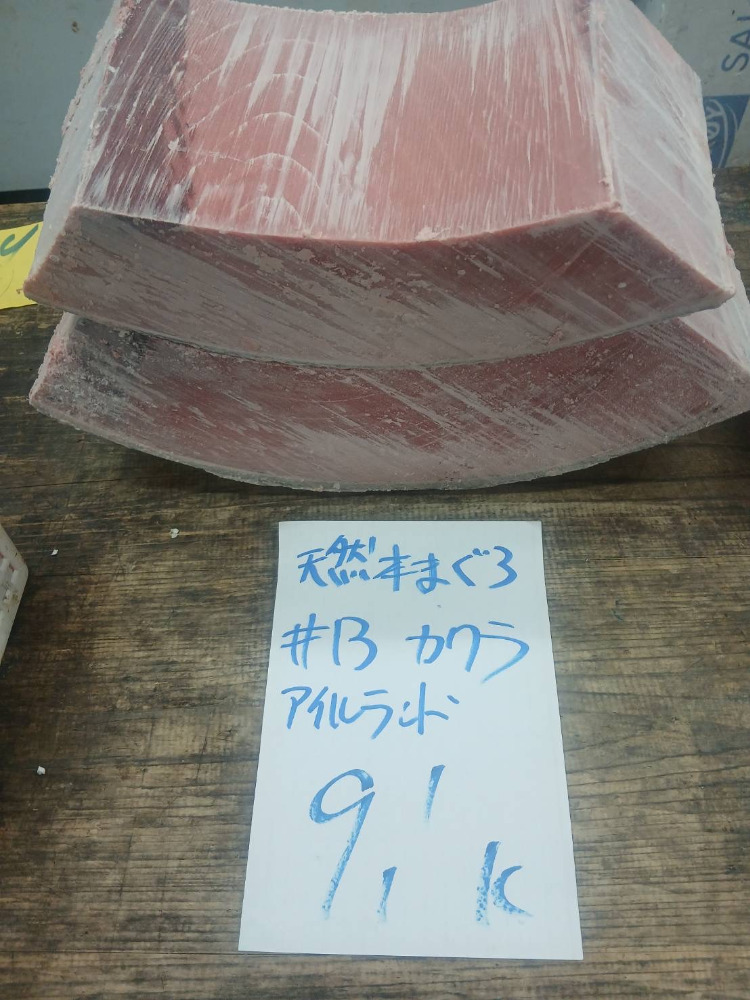 【新商品】【新商品】#13-0110天然本鮪セ中の瓦9.1kg・特上色脂良し・アイルランド