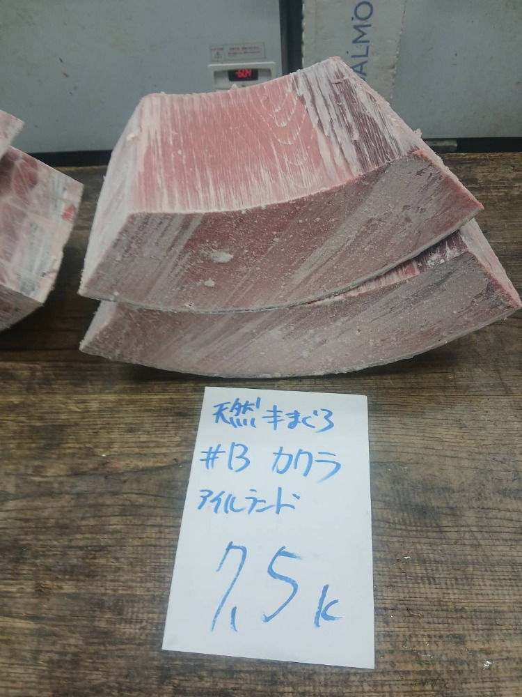 【新商品】【新商品】#13-0110天然本鮪セ中の瓦7.5kg・特上色脂良し・アイルランド
