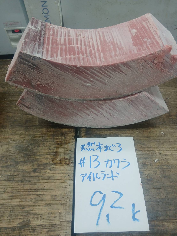 【新商品】【新商品】#13-0110天然本鮪セ中の瓦9.2kg・特上色脂良し・アイルランド