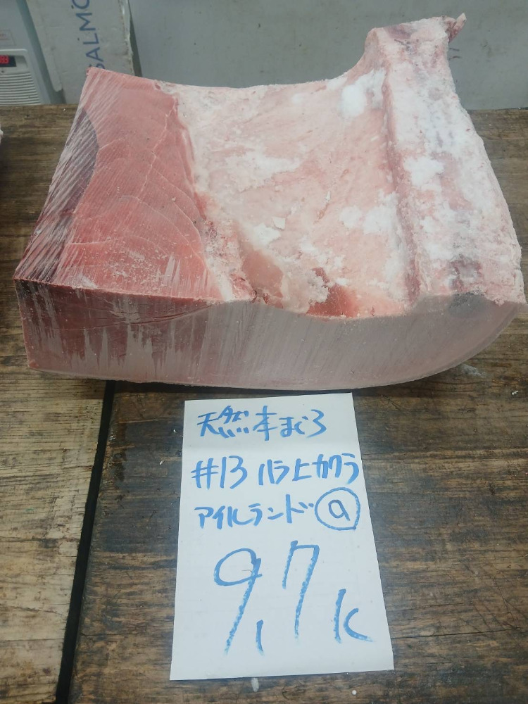 【新商品】【新商品】#13-0110天然本鮪ハラ上の瓦a9.7kg・特上色脂良し・アイルランド