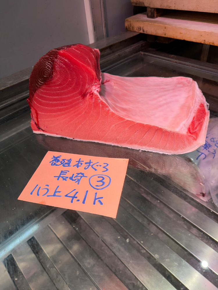 【新商品】【新商品】0122[冷凍]養殖本鮪(3)ハラ上4.1kg・長崎産
