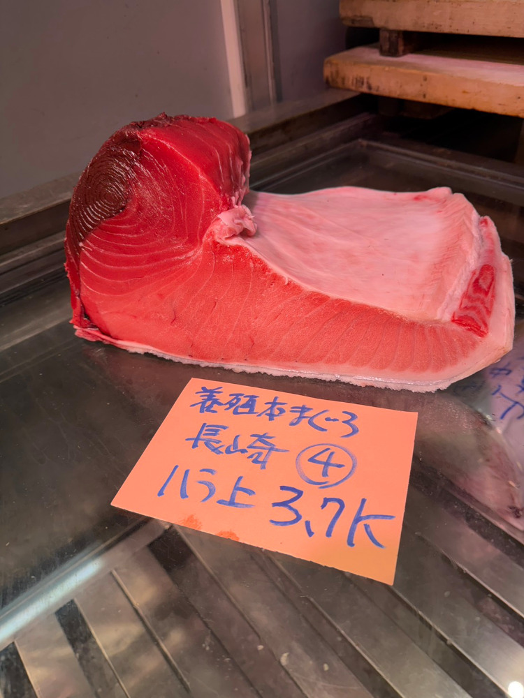 【新商品】【新商品】0122[冷凍]養殖本鮪(4)ハラ上3.7kg・長崎産