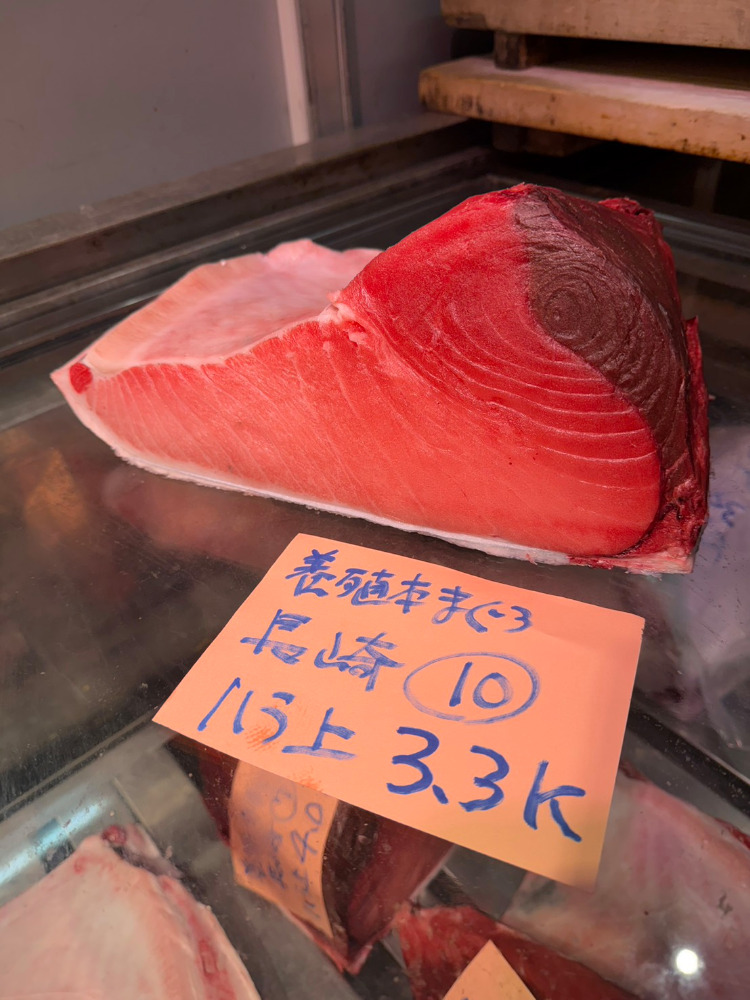 【新商品】【新商品】0122[冷凍]養殖本鮪(10)ハラ上3.3kg・長崎産