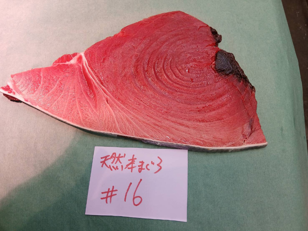 #16-1222天然本鮪ハラ中6.8kg・脂薄め・身割れの可能性あり