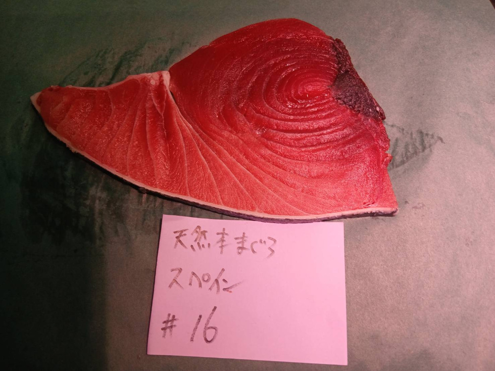 #16-1225天然本鮪ハラ上7.6kg・色と脂良し・身割れの可能性あり