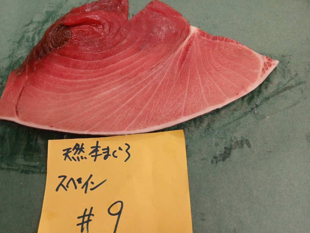 #9-0105天然本鮪ハラ中6.7kg・色と脂良し・身割れの可能性あり