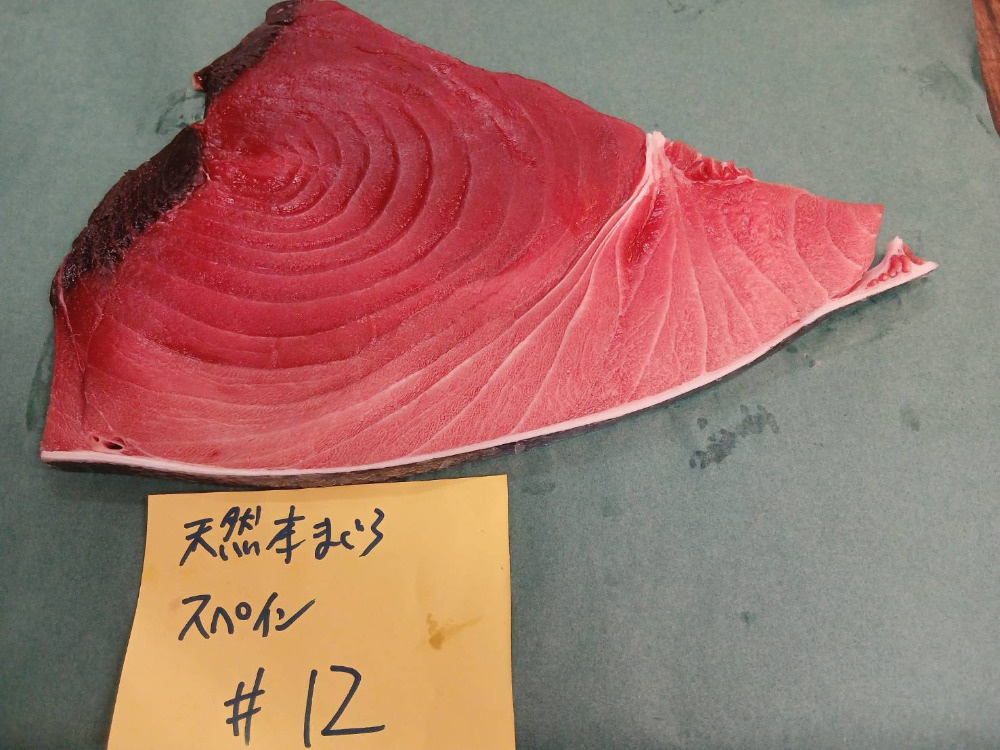 #12-0105天然本鮪ハラ中4.8kg・色と脂良し・身割れの可能性あり