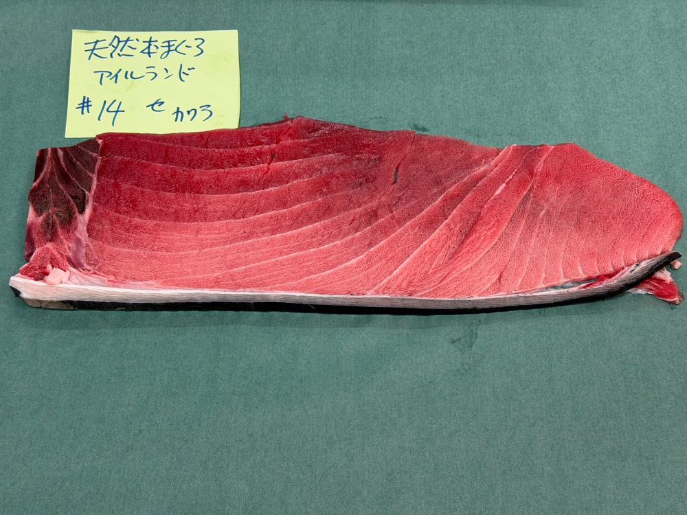 #14-0109天然本鮪セ中の瓦7.4kg・特上色脂良し・アイルランド