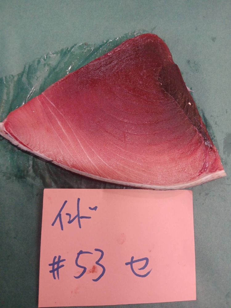 #53-0115天然インド鮪セ・ハラ下セット7.0kg・特上小インド