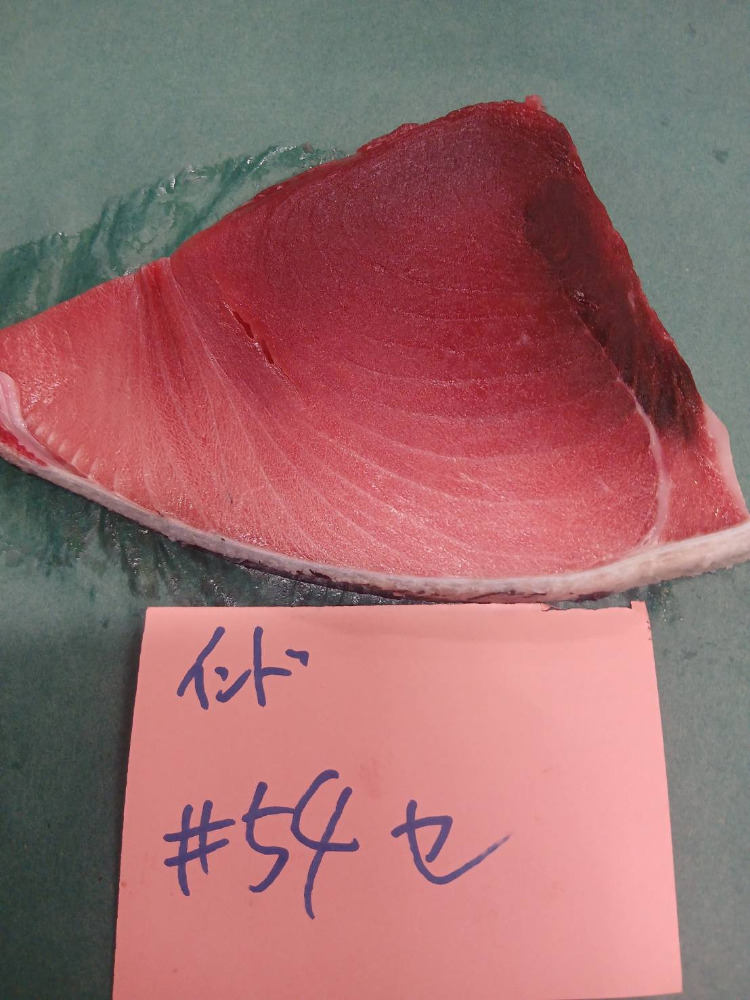 #54-0115天然インド鮪セ・ハラ下セット7.1kg・特上小インド