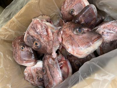 �y�����ʁz���ÎY��A���y�A�^�}��z�l�ȂǍ��ځz�{�B�^��̓��z�l�Ȃ�