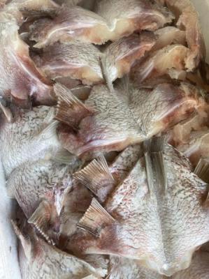 �y�����ʁz���ÎY�}�_�C�y�J�}�̂݁z�^�C����15kg��