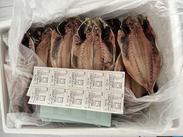 沼津造りアジ干物　真あじひもの【120/150】IQF鯵